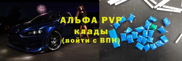 прущие грибы Майский