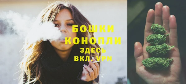 крисы Магас