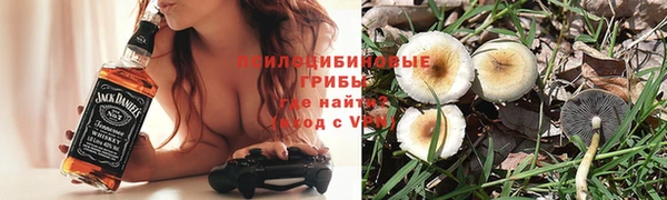 гидра Магадан