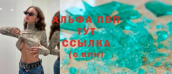 прущие грибы Майский