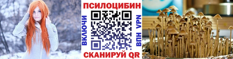 Галлюциногенные грибы Magic Shrooms блэк спрут как зайти Хабаровск закладка