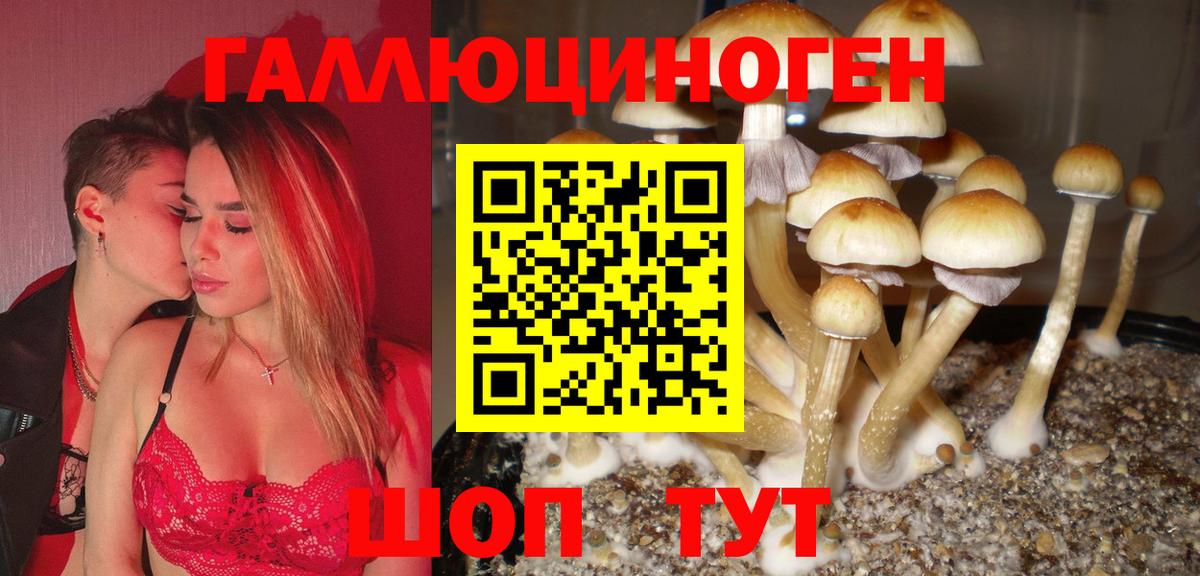 Псилоцибиновые грибы прущие грибы  Вход с VPN  Хабаровск 