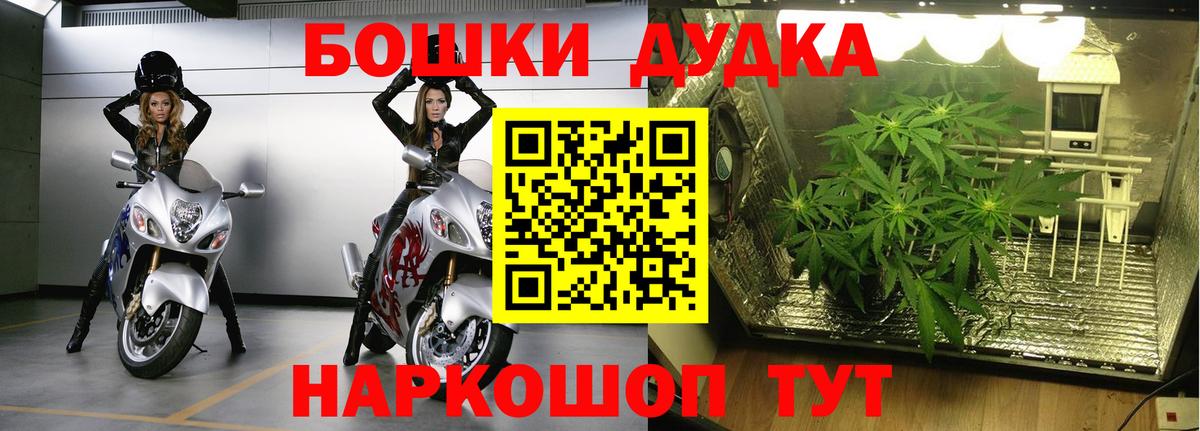 Хабаровск  Каннабис OG Kush  Бошки марихуана план  Каннабис MAZAR  Вход с VPN  Марихуана план 